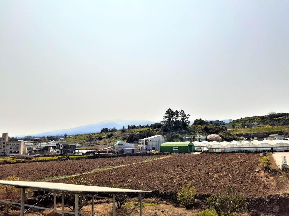 Jeju Time-Travel Pension المظهر الخارجي الصورة