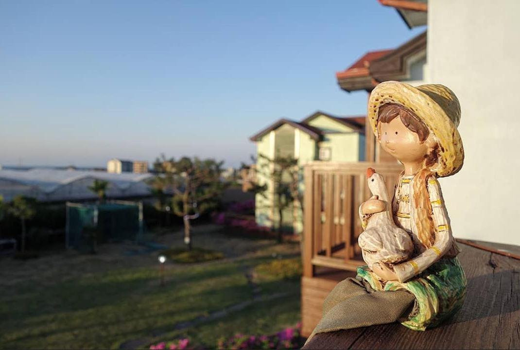 Jeju Time-Travel Pension المظهر الخارجي الصورة